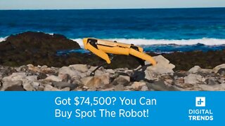 Got $74,500? You Can Buy Spot The Robot Dog!