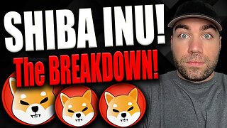 SHIBA INU - The BREAKDOWN! (Latest News Today!)
