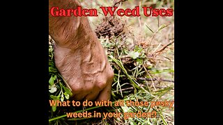 Garden weed uses