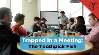 Stuff You Should Know: Trapped in a Meeting: The Toothpick Fish