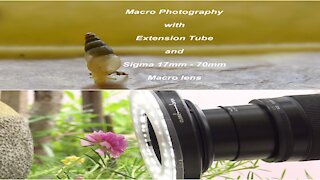 Sigma 17mm 70mm Macro lens and Extension Tube
