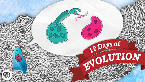 Can Evolution Create Information? - 12 Days of Evolution #9
