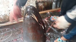 This fisherman cut off the whale's head