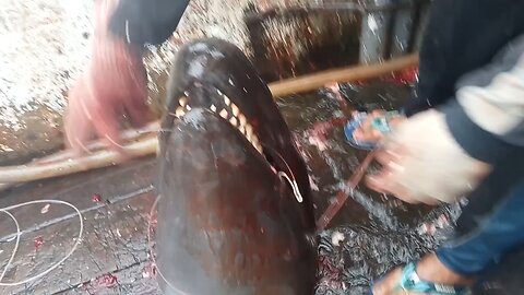 This fisherman cut off the whale's head