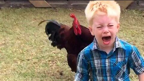 Funniest animals scaring baby,,, 🐓🐓💕💕funny video