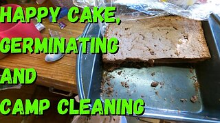 Happy Cake, Germinating And Camp Cleaning