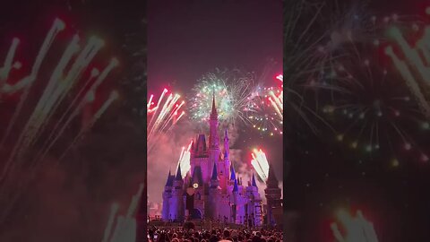 Disney's 4th of July!