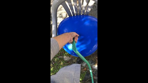 Huge balloon filled up with water