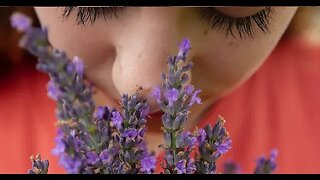 Como Aliviar os Sintomas da Seca no Nariz Com Lavanda - Receita de Lavagem Nasal com Lavanda