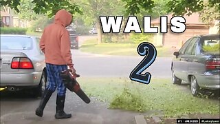 🌱 WALIS (2) ♣︎ Lakay's Lawncare Life