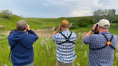 Medicine Lake Wildlife Refuge Birding Adventure Part 2