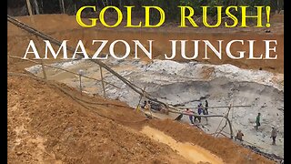 Hit & Run Gold Seekers in the Amazon Jungle - Destruction