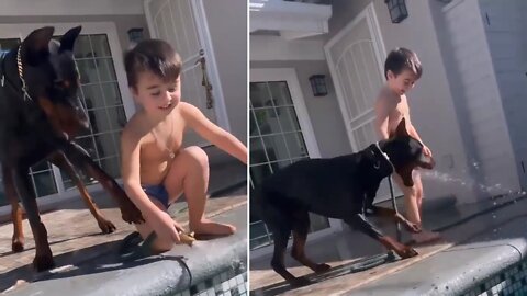 Dog playing with adorable boy and annoying him