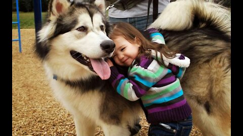 The owner and lovely Alaskan dog