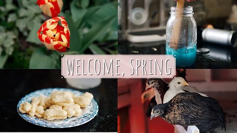 A Whimsical Spring Day 🌷 Simple Spring Homemaking #springambience #springday #lemonade #michigan