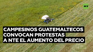 Campesinos guatemaltecos convocan protestas ante el aumento del precio de la canasta básica