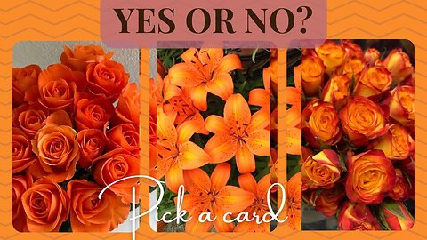 QUICK TAROT READING | YES OR NO? & WHY 🍂🍁| Pick a card #tarot