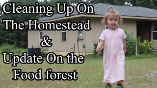 Cleaning Up On The Homestead/Food Forest Update