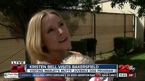 Kristen Bell in Bakersfield to visit Marley's Mutts juvenile dog program
