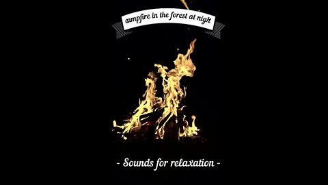 Sounds For Relaxation | Campfire In The Forest At Night