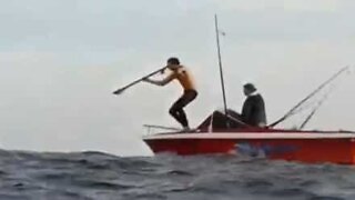 Pescador erra mergulho de cabeça