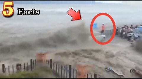 Top 5 Largest Wave Caught on Video