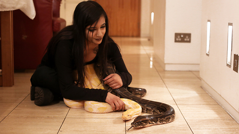 I Share My Bedroom With A 16ft Python | BEAST BUDDIES