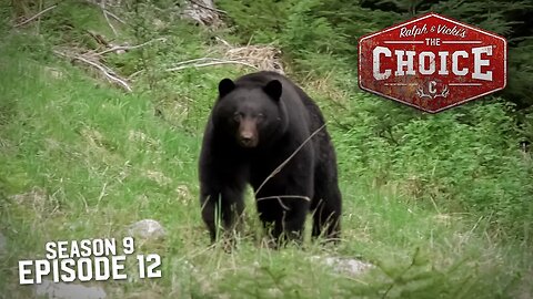 Coastal Black Bear Hunting with Crossbows! - The Choice (Full Episode) // S9: Episode 12