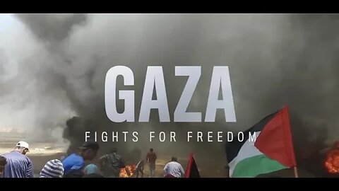 Reaction to a quick Excerpt out of Abby Martin's Film Gaza Fight for Freedom & her clip from Rogan