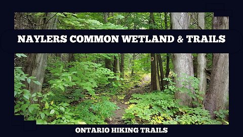 Naylers Common Wetland And Trails In Marmora Ontario