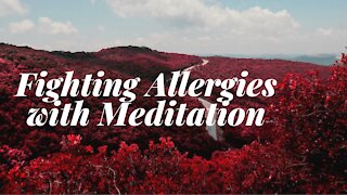 Fighting allergies with mediation