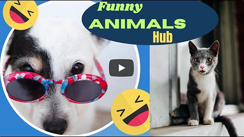 Funny Animals Funniest Confused Dogs Compilation 2024 | Cutest Animals Ever