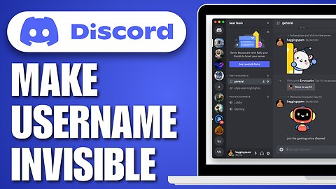 How To Make Username Invisible on Discord