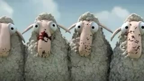 Oh, sheep