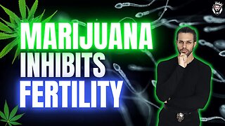 Is Cannabis Killing Your Balls?