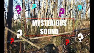 MYSTERIOUS WHOOSH SOUND IN THE WOODS | BAPTIST JOSHUA