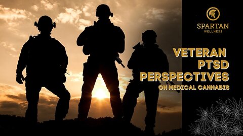 Veteran PTSD Perspectives on Medical Cannabis