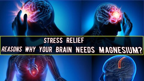 Stress Relief, Reasons Why Your Brain Needs ?