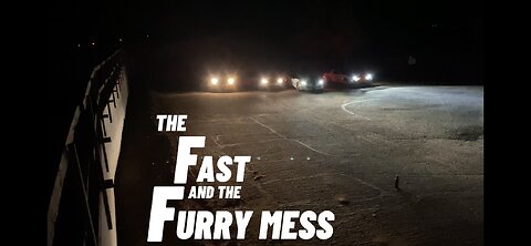 The Fast and the Furry Mess