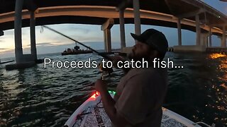 Night Fishing for Snapper in Tampa Bay