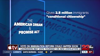 Vote on immigration reform