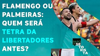 Flamengo ou Palmeiras: quem GANHARÁ O 4º TÍTULO de Libertadores ANTES? | PAPO DE SETORISTA