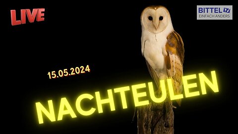 Nachteulen - 15.05.2024