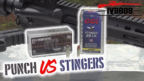 Federal Punch vs CCI Stingers