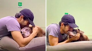 The Owner Decided To Treat His Dog to All His Favorite Things, But Not Before Making 10-Minute Video