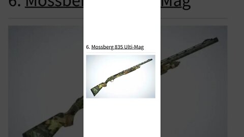 Best Shotguns under $500