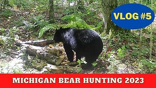 Michigan Bear Hunting VLOG 5 | Closing in on them