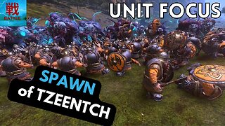 Spawn of Tzeentch - Unit Focus