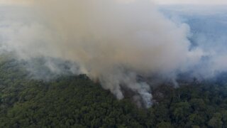 Brazil To Temporarily Ban Fires In The Amazon Rainforest
