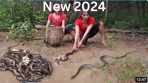 2024 snake in the rainforest, Catch snake for survival food - Snake soup spicy Eating delicious